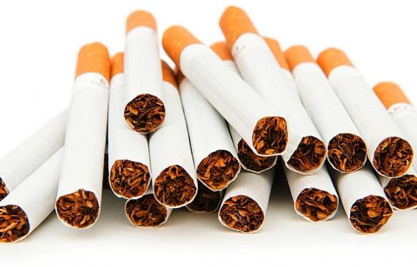 Awasi Rokok Ilegal, Satpol-PP Bone Sisir Daerah Perbatasan