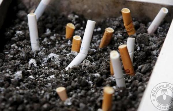 Penelitian WHO: 2030, Rokok Membunuh 8 Juta Orang Per Tahun